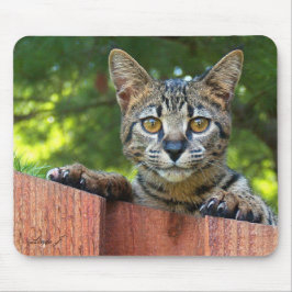 Savannah Cat Mousepad Musmatta