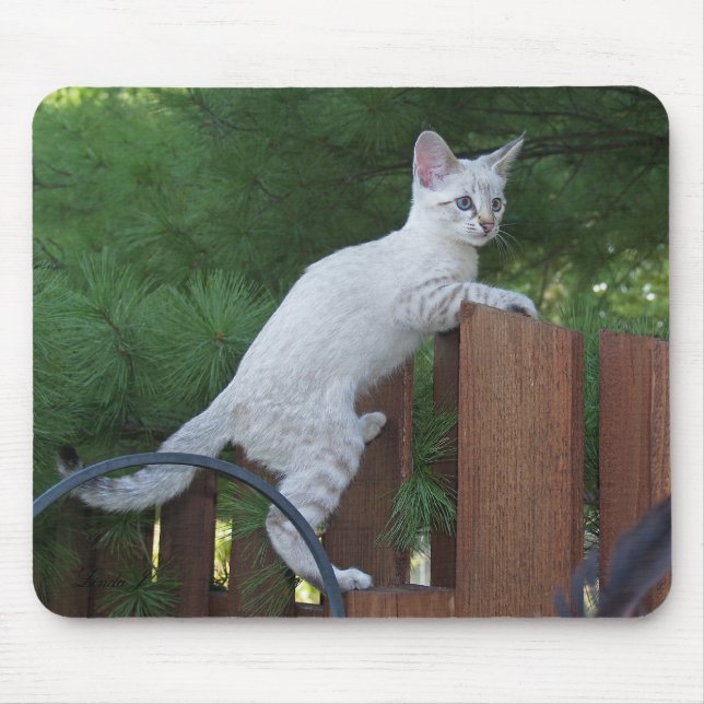 Savannah Cat Mousepad Musmatta (Framsidan)