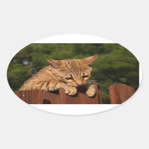 Savannah Cat Oval Sticker Ovalt Klistermärke