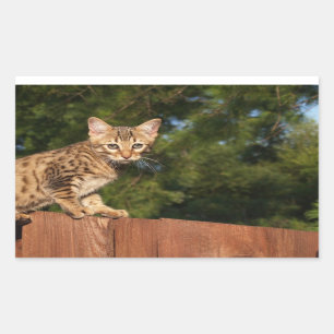Savannah Cat Rectangle Sticker Rektangulärt Klistermärke