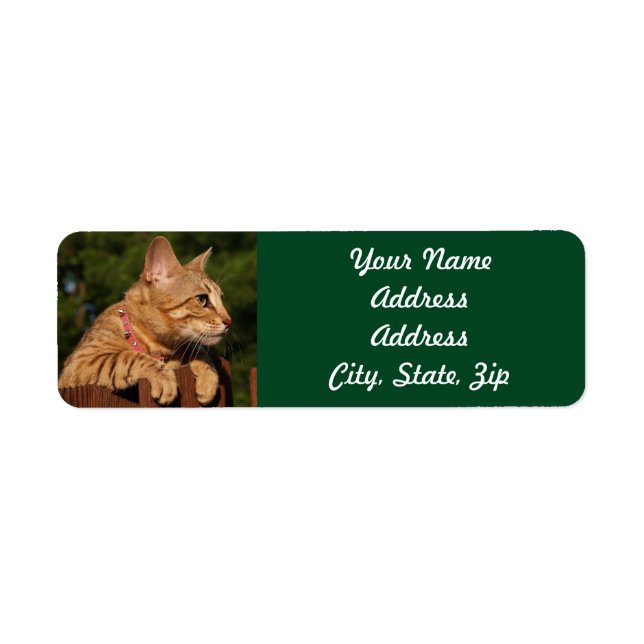 Savannah Cat Returadress Sticker Etikett (Framsidan)