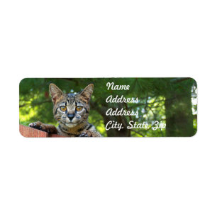 Savannah Cat Returadress Sticker Etikett