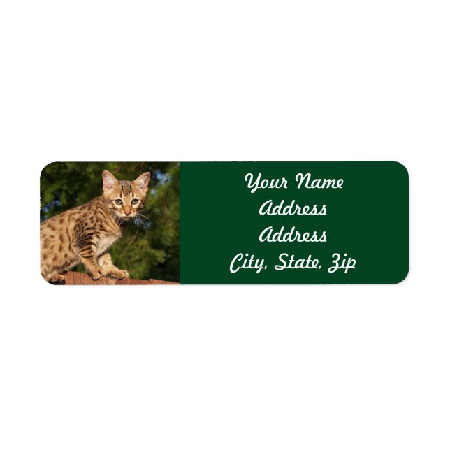 Savannah Cat Returadress Sticker Returadress Etikett (Framsidan)