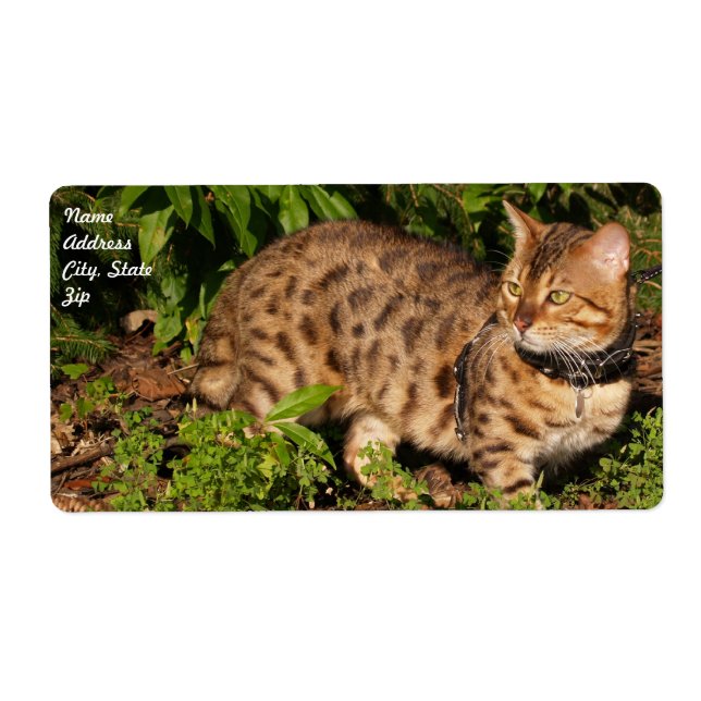 Savannah Cat Shipping Label Fraktsedel (Framsidan)