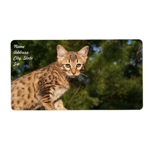 Savannah Cat Shipping Label Fraktsedel (Framsidan)