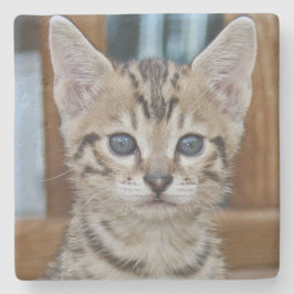 Savannah Cat Square Underlägg