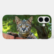 Savannah Cat Telefonfodral