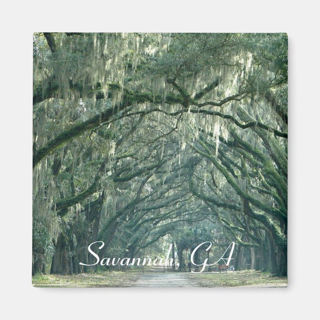 Savannah, GA Magnet (Framsidan)