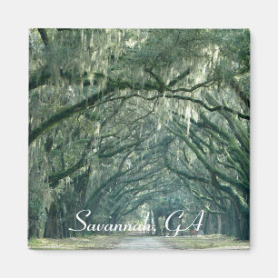 Savannah GA-magnet Magnet