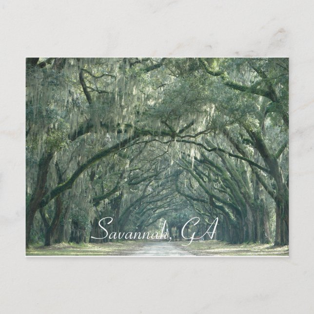 Savannah, GA-vykort Vykort (Framsida)