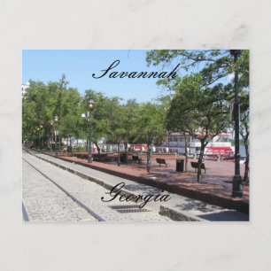 Savannah-gatorna Vykort