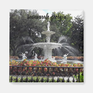 savannah georgia fontän magnet