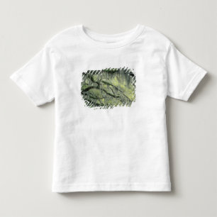 Savannah, Georgia, Live Oak-träd draperat med T-shirt
