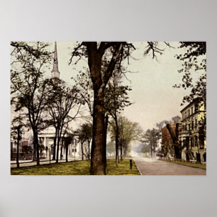 Savannah Georgia Oglethorpe aveny Poster