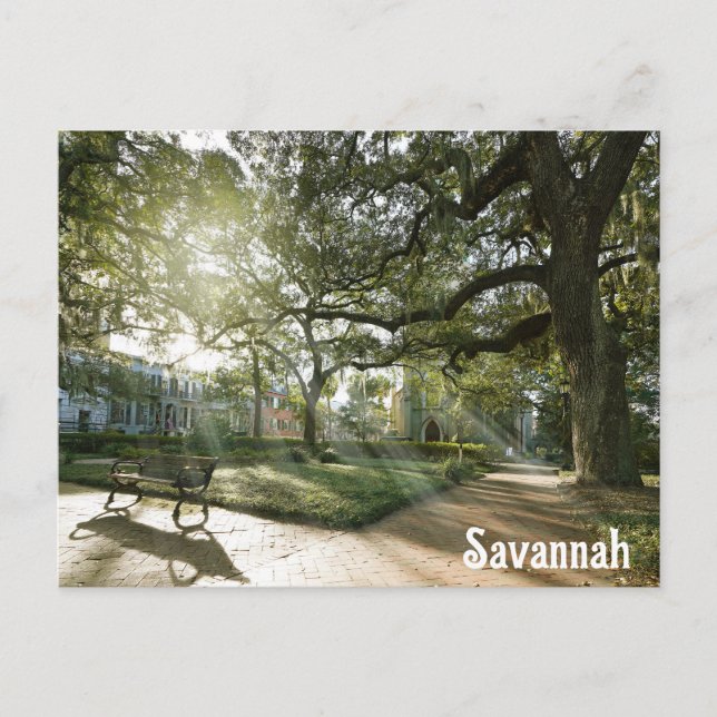 Savannah Georgia Southern Live Oak Träd Park Vykort (Framsida)