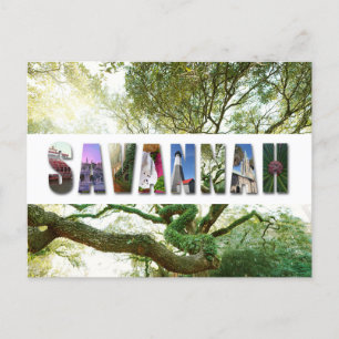 Savannah Georgia Southern Live Oak Träd Vykort