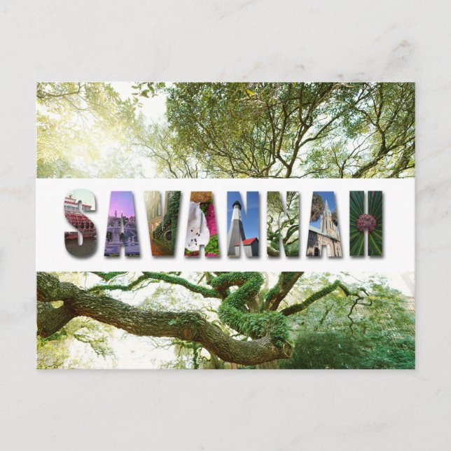 Savannah Georgia Southern Live Oak Träd Vykort (Framsida)