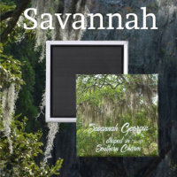 Savannah Georgia Spain Moss drapade Live Oaks