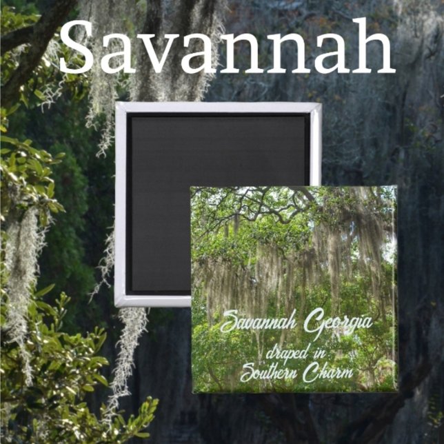 Savannah Georgia Spain Moss drapade Live Oaks Magnet (Skapare uppladdad)