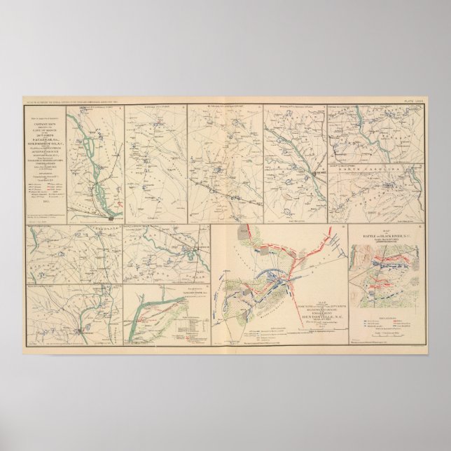 Savannah Goldsborough kampanj kartor Poster (Framsidan)