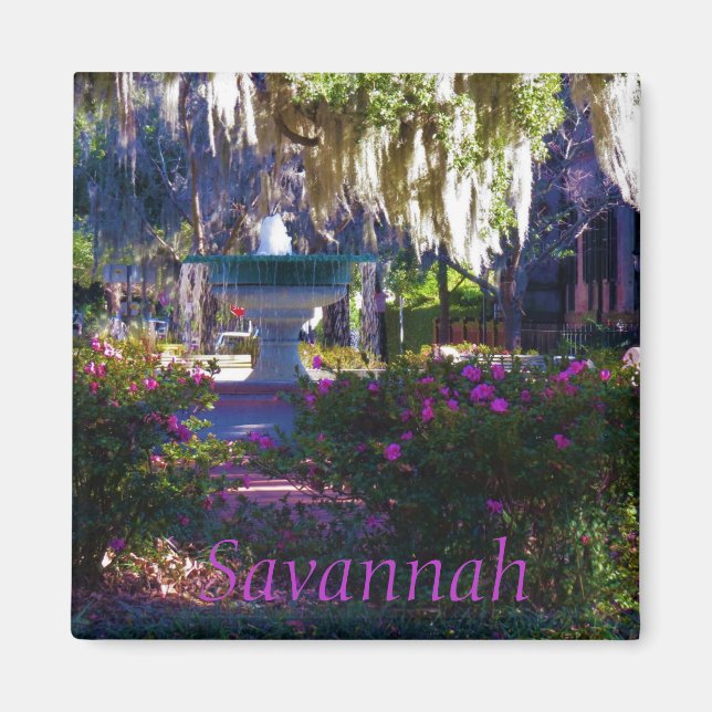 Savannah magnet 18 (Framsidan)