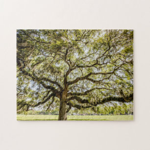 Savannah Michal Oak Souvenir Challenging Puzzle Pussel