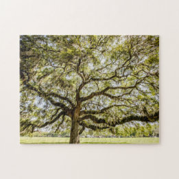 Savannah Mighty Oak Souvenir Challenging Puzzle Pussel