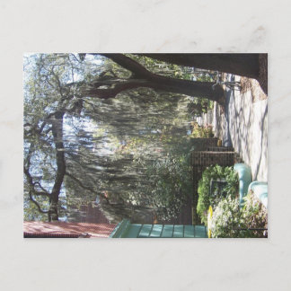 Savannah Moss Vykort