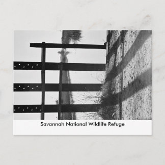 Savannah National Wildlife R... Vykort