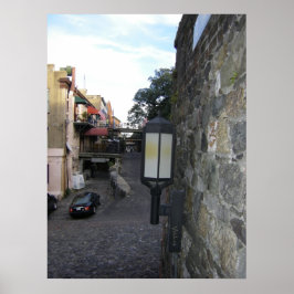 Savannah på gatan poster