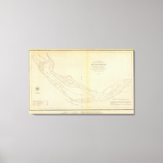 Savannah River Canvastryck (Framsida)