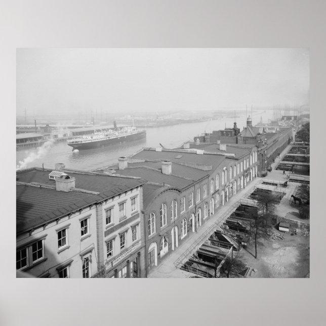 Savannah River Poster (Framsidan)