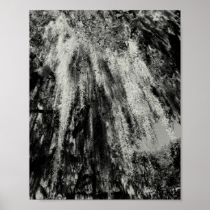 Savannah-serien: Spanska Moss Poster