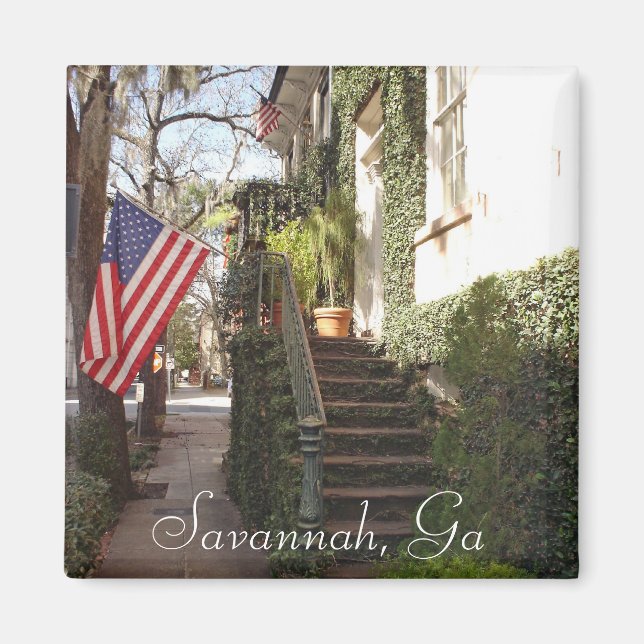 Savannah Staircase Magnet (Framsidan)
