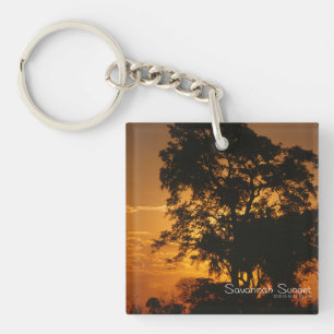 Savannah Sunset