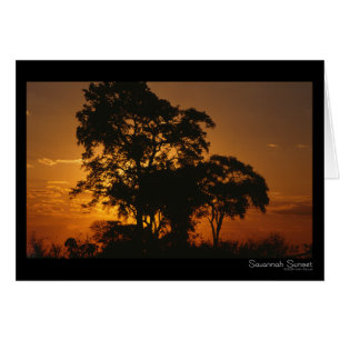 Savannah Sunset Card OBS Kort
