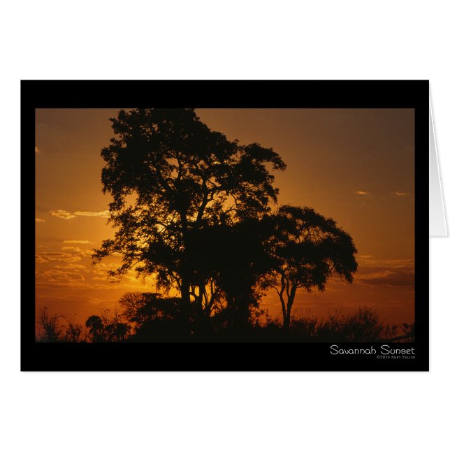 Savannah Sunset Card OBS Kort (Framsidan Horizontal)