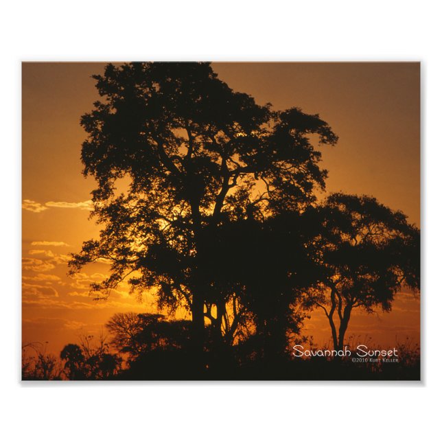 Savannah Sunset Fototryck (Framsidan)