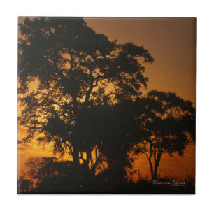 Savannah Sunset Kakelplatta