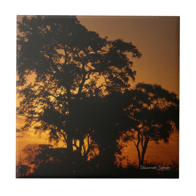Savannah Sunset Kakelplatta (Framsidan)