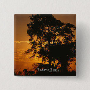 Savannah Sunset Knapp