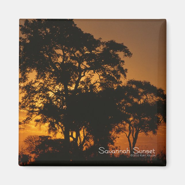 Savannah Sunset Magnet (Framsidan)