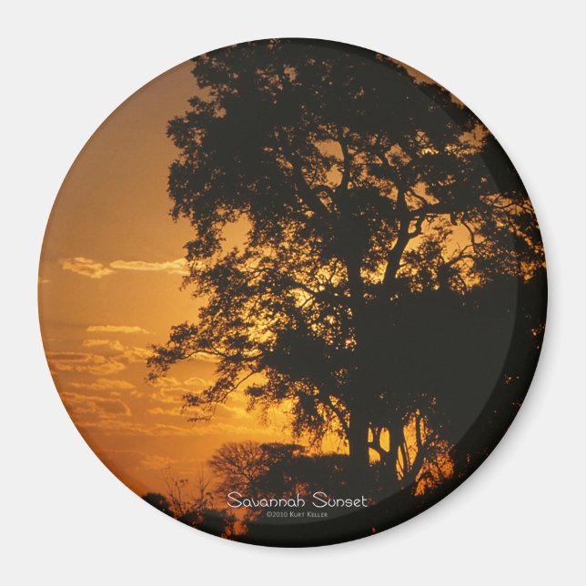 Savannah Sunset Magnet (Framsidan)