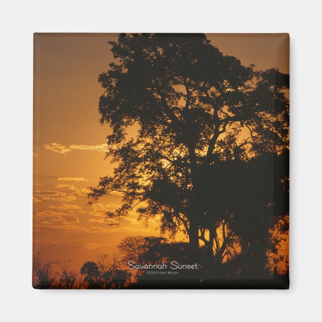 Savannah Sunset Magnet (Framsidan)