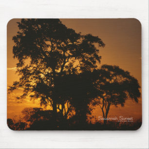 Savannah Sunset Musmatta