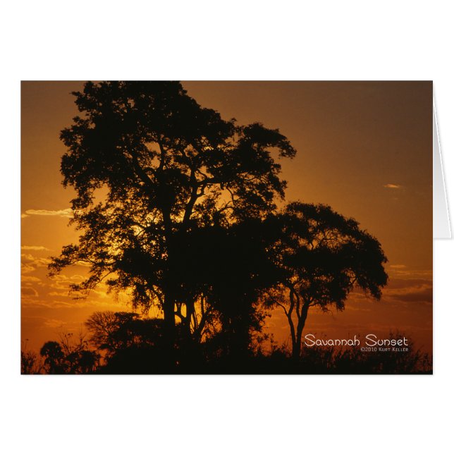 Savannah Sunset OBS Kort (Framsidan Horizontal)