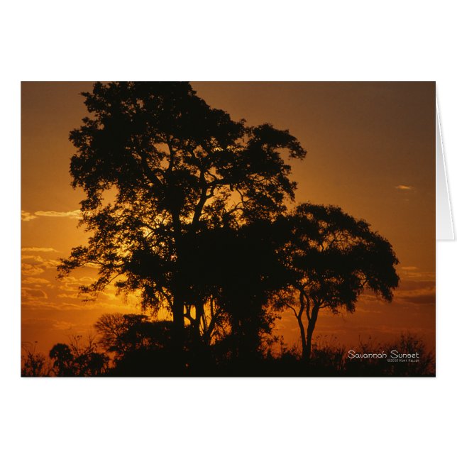 Savannah Sunset OBS Kort (Framsidan Horizontal)