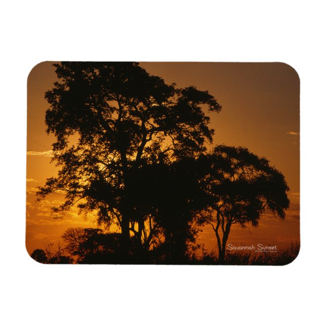 Savannah Sunset Photo Magnet (Horisontell)