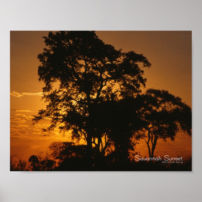 Savannah Sunset Poster (Framsidan)