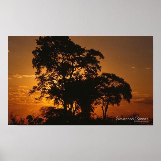 Savannah Sunset Poster (Framsidan)